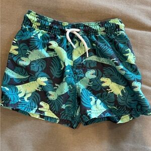Dinosaur Print Kids Swim Trunks